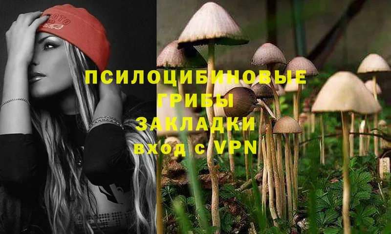 Галлюциногенные грибы MAGIC MUSHROOMS  где продают   Исилькуль 